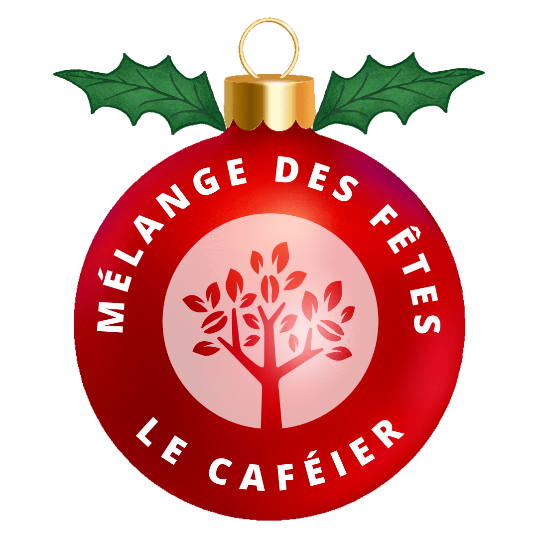 Mélange des fêtes (2 bruns et 1 noirs)